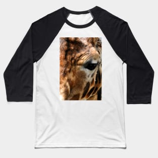 African Giraffe Amelopardalis Giraffa Baseball T-Shirt